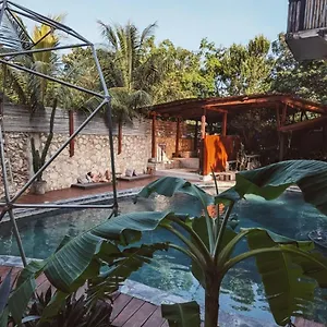 https://botanica-tulum.quintano-roohotels.com
